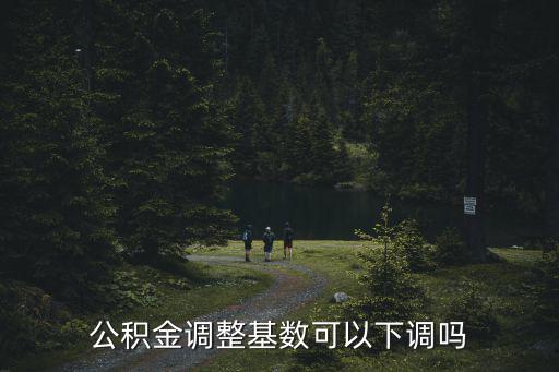公積金調整基數可以下調嗎