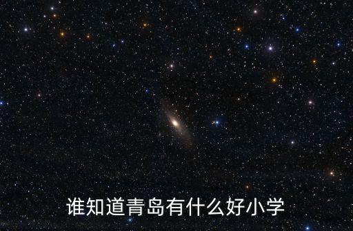 誰知道青島有什么好小學