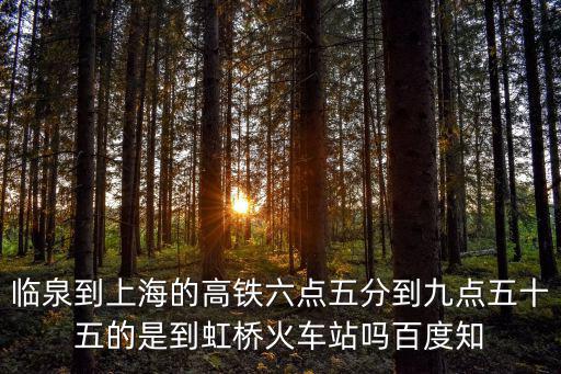 臨泉到上海的高鐵六點五分到九點五十五的是到虹橋火車站嗎百度知