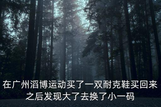 在廣州滔博運(yùn)動買了一雙耐克鞋買回來之后發(fā)現(xiàn)大了去換了小一碼