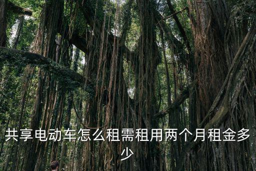 電動車租車，電嗒租車電動車怎么收費
