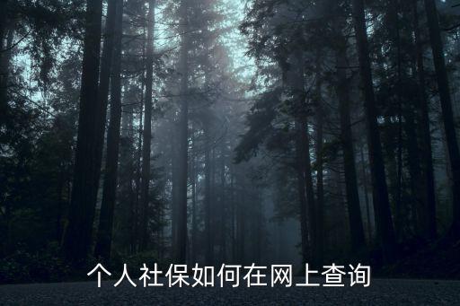 個人社保如何在網上查詢