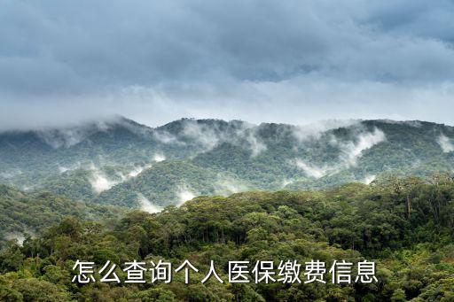 怎么查詢個人醫保繳費信息