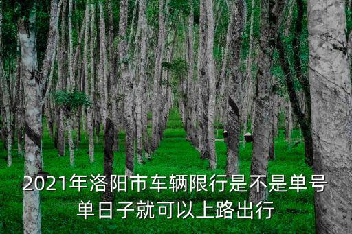 2021年洛陽市車輛限行是不是單號單日子就可以上路出行
