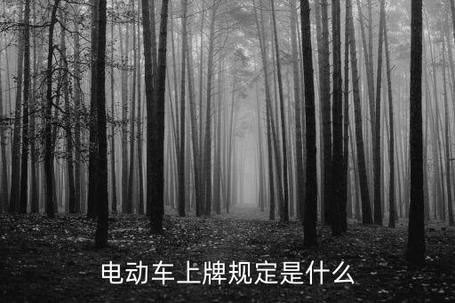 電動車上牌，電動車如何上牌