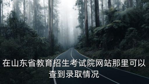 山東教育招生院官網(wǎng)，在山東省教育招生考試院網(wǎng)站那里可以查到錄取情況