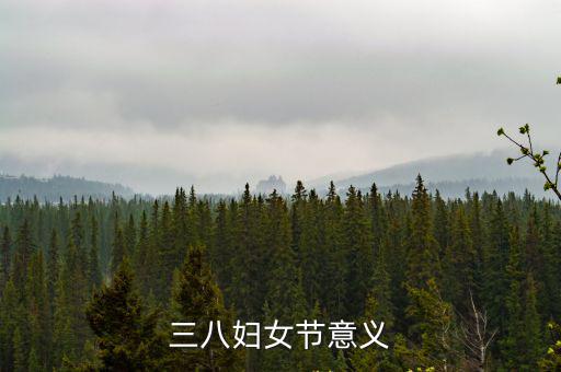 三八婦女節意義