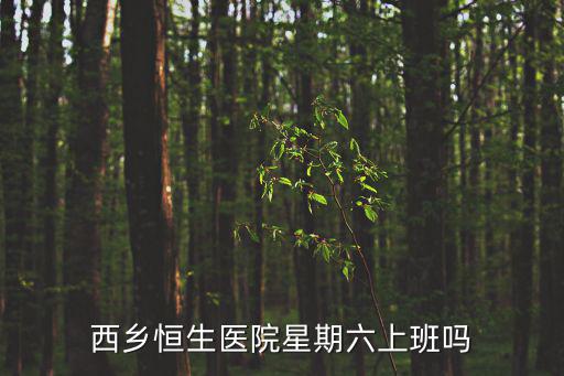 西鄉恒生醫院星期六上班嗎