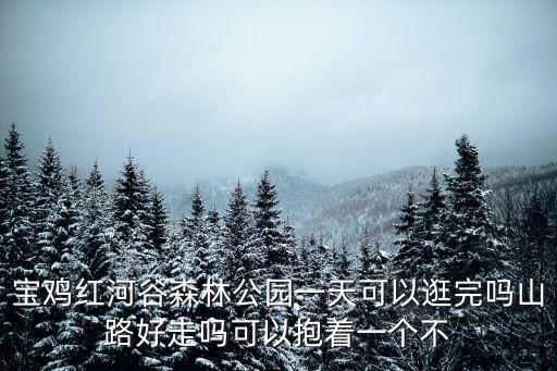 寶雞紅河谷森林公園一天可以逛完嗎山路好走嗎可以抱著一個(gè)不