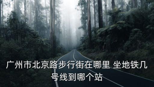 步行路，什么是城市步行道路系統
