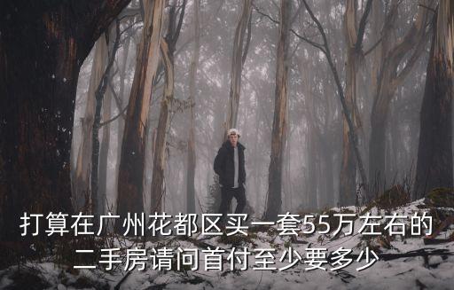 打算在廣州花都區買一套55萬左右的二手房請問首付至少要多少