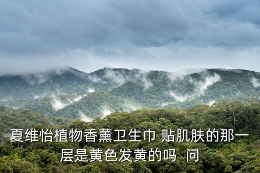 夏維怡植物香薰衛生巾 貼肌膚的那一層是黃色發黃的嗎  問
