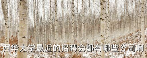 西華大學最近的招聘會都有哪些公司啊
