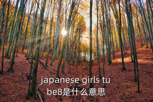 japanese girls tube8是什么意思