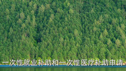 一次性就業補助和一次性醫療補助申請