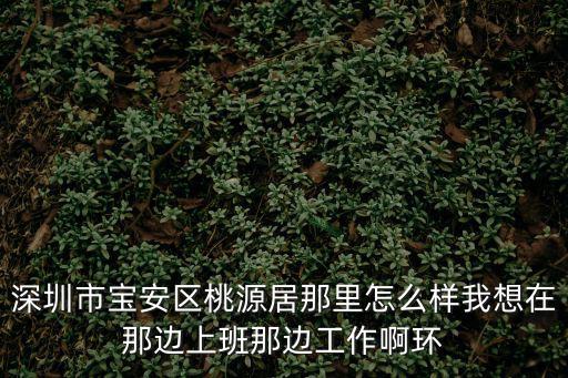 深圳市寶安區桃源居那里怎么樣我想在那邊上班那邊工作啊環