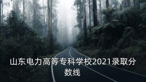 學校錄取分數線，山東電力高等專科學校2021錄取分數線