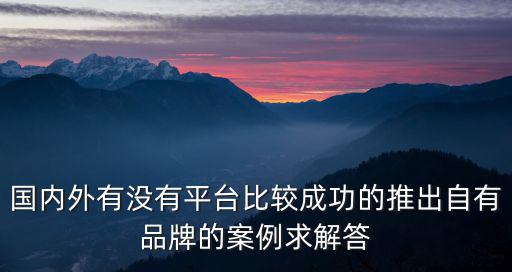 乾生元，國內(nèi)外有沒有平臺(tái)比較成功的推出自有品牌的案例求解答