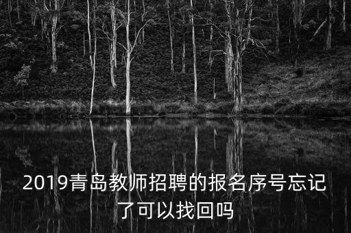 青島市教師教育信息化管理服務平臺，2019青島教師招聘的報名序號忘記了可以找回嗎
