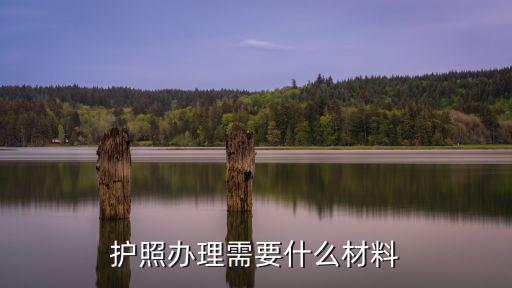 護照辦理需要什么材料