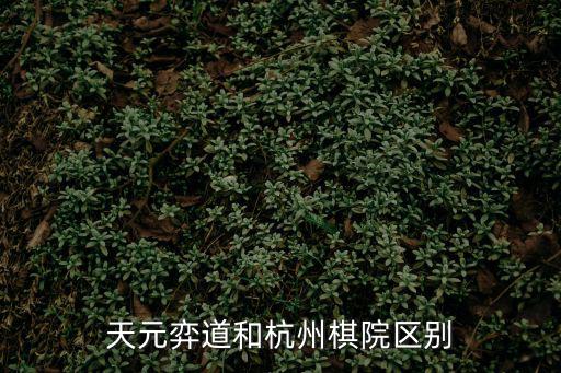 天元弈道和杭州棋院區別