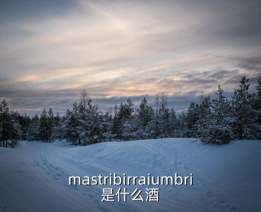 mastribirraiumbri是什么酒