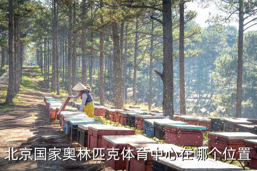 北京國家奧林匹克體育中心在哪個位置