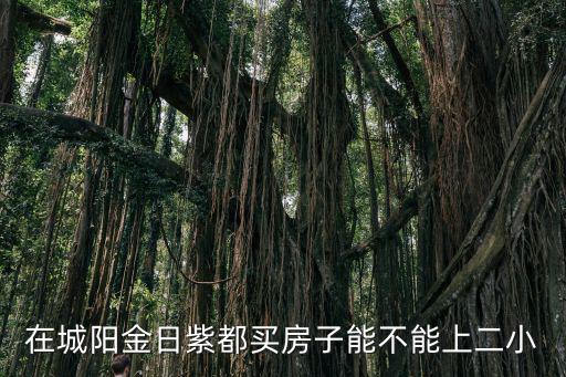 在城陽金日紫都買房子能不能上二小