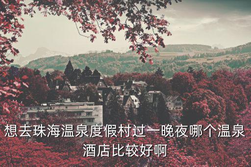 想去珠海溫泉度假村過一晚夜哪個溫泉酒店比較好啊