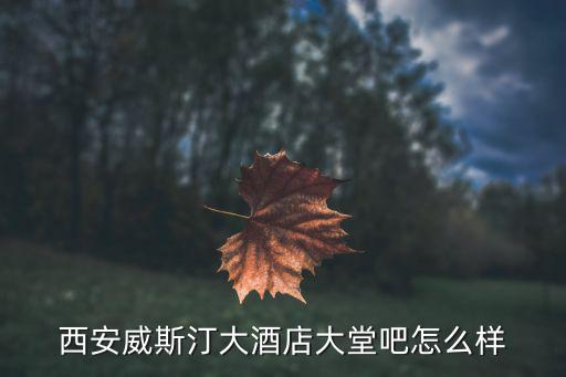 西安威斯汀大酒店大堂吧怎么樣
