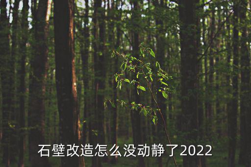石壁，一什么石壁填量詞