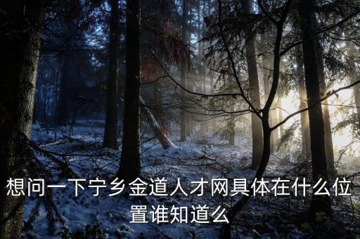 想問一下寧鄉金道人才網具體在什么位置誰知道么