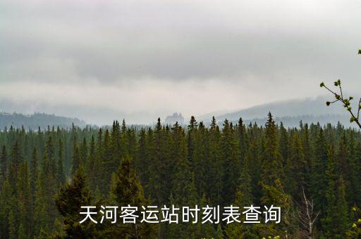 天河客運站，廣州天河客運站