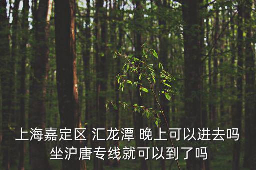 上海嘉定區 匯龍潭 晚上可以進去嗎 坐滬唐專線就可以到了嗎