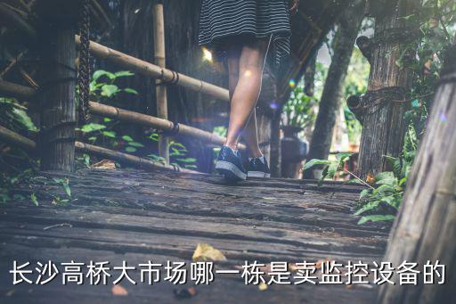 長沙高橋大市場哪一棟是賣監控設備的