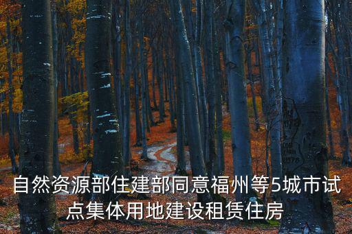 自然資源部住建部同意福州等5城市試點集體用地建設租賃住房