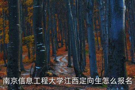 南京信息工程大學官網，南京信息工程大學是211還是985