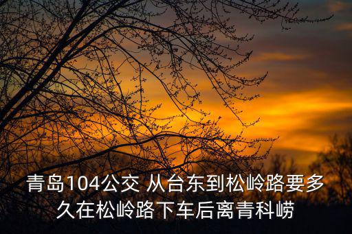 青島104公交 從臺東到松嶺路要多久在松嶺路下車后離青科嶗