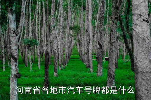 河南車牌，河南汽車牌照怎么選