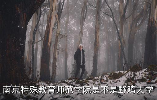 南京特殊教育，南京特殊教育師范學(xué)院是不是野雞大學(xué)