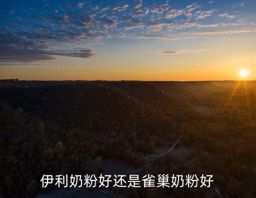 伊利奶粉好還是雀巢奶粉好