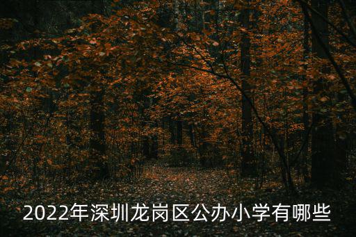 2022年深圳龍崗區公辦小學有哪些