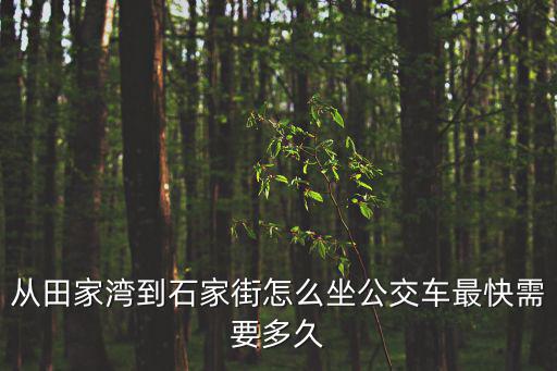 從田家灣到石家街怎么坐公交車最快需要多久