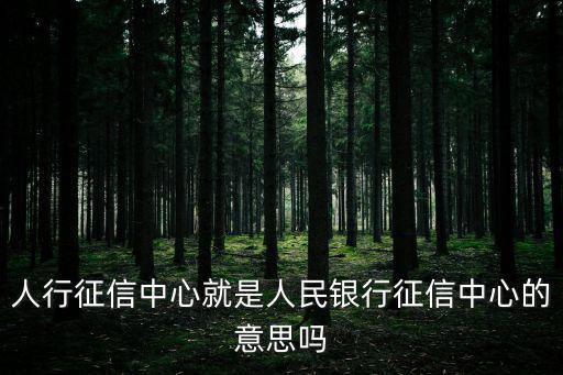 人行征信中心就是人民銀行征信中心的意思嗎