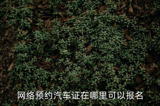 網絡預約汽車證在哪里可以報名