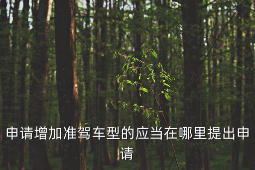 申請增加準(zhǔn)駕車型的應(yīng)當(dāng)在哪里提出申請