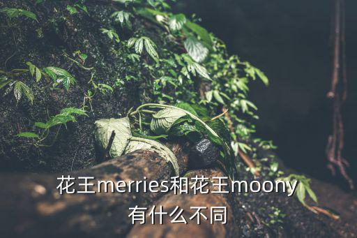 花王merries和花王moony有什么不同