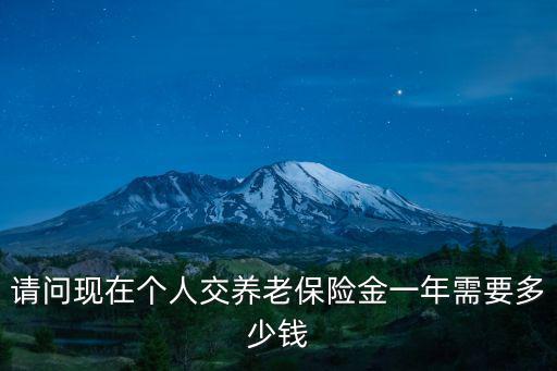 請問現在個人交養老保險金一年需要多少錢