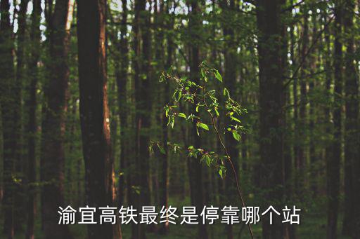 渝宜高鐵最終是停靠哪個站