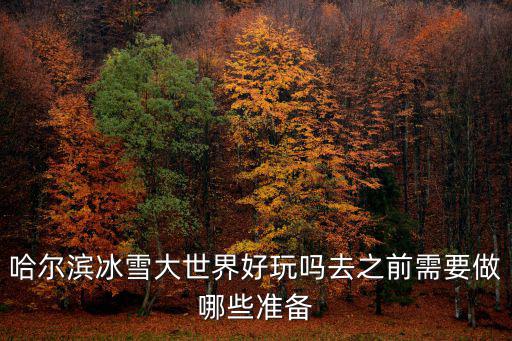 哈爾濱冰雪大世界好玩嗎去之前需要做哪些準備